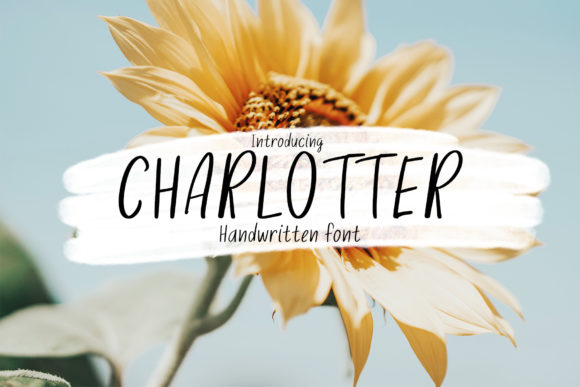 Charlotter: A Friendly Handwritten Font for Web Design