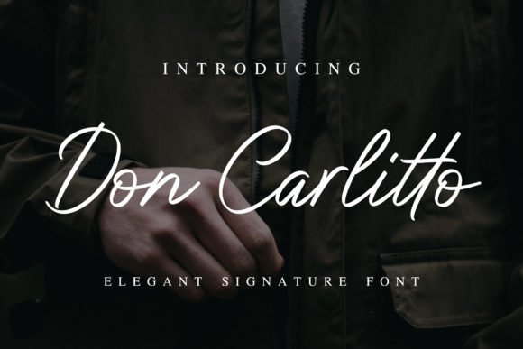 Don Carlitto: A Charming Script Font for Brand Identity