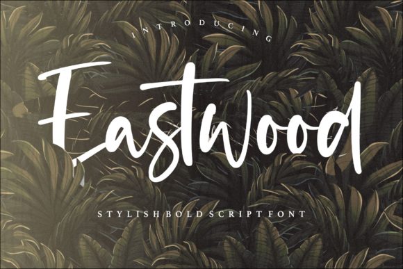 Eastwood: A Real-World Review for Designers